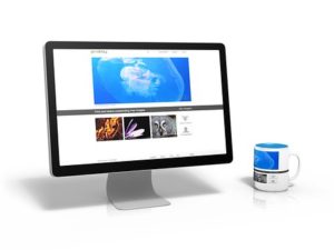monitor